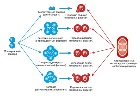 картинка радикал 